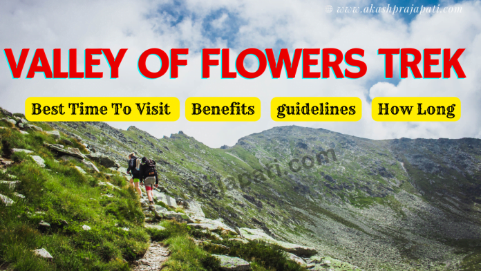 valley of flowers trek best time